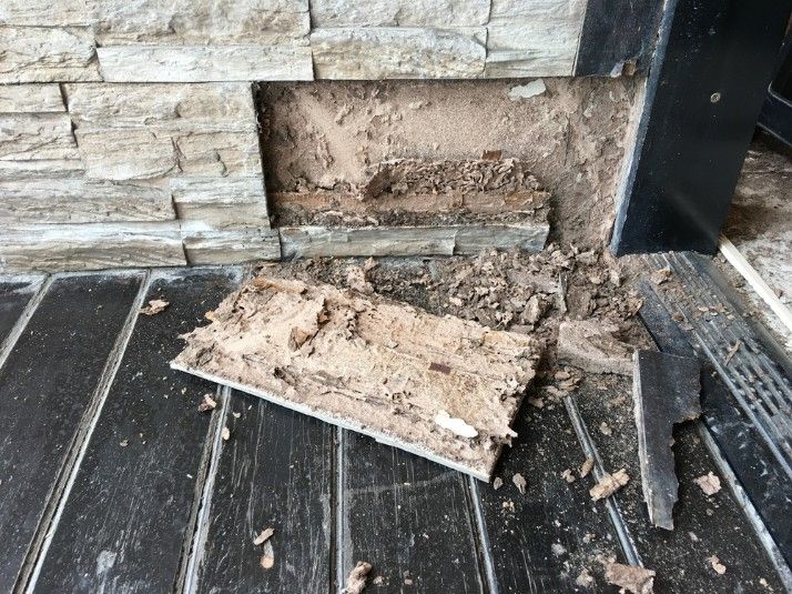 A Piece of Wood is Laying on the Floor Next to a Brick Wall — Advanced Pest Control Wollongong in Figtree, NSW