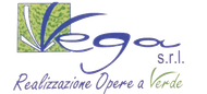 Vega logo