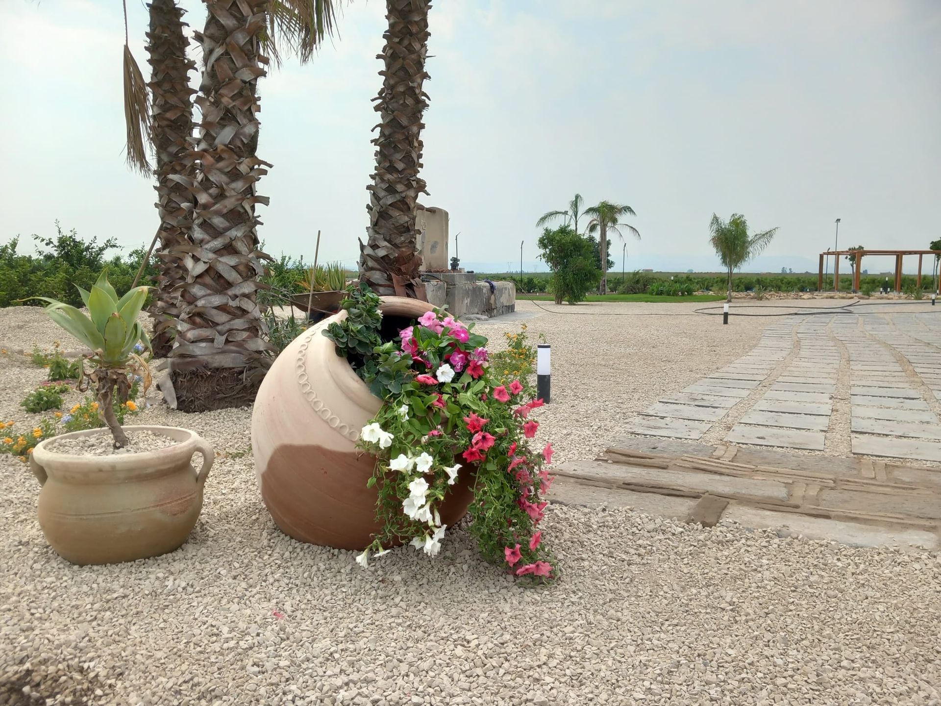 giardino fiori
