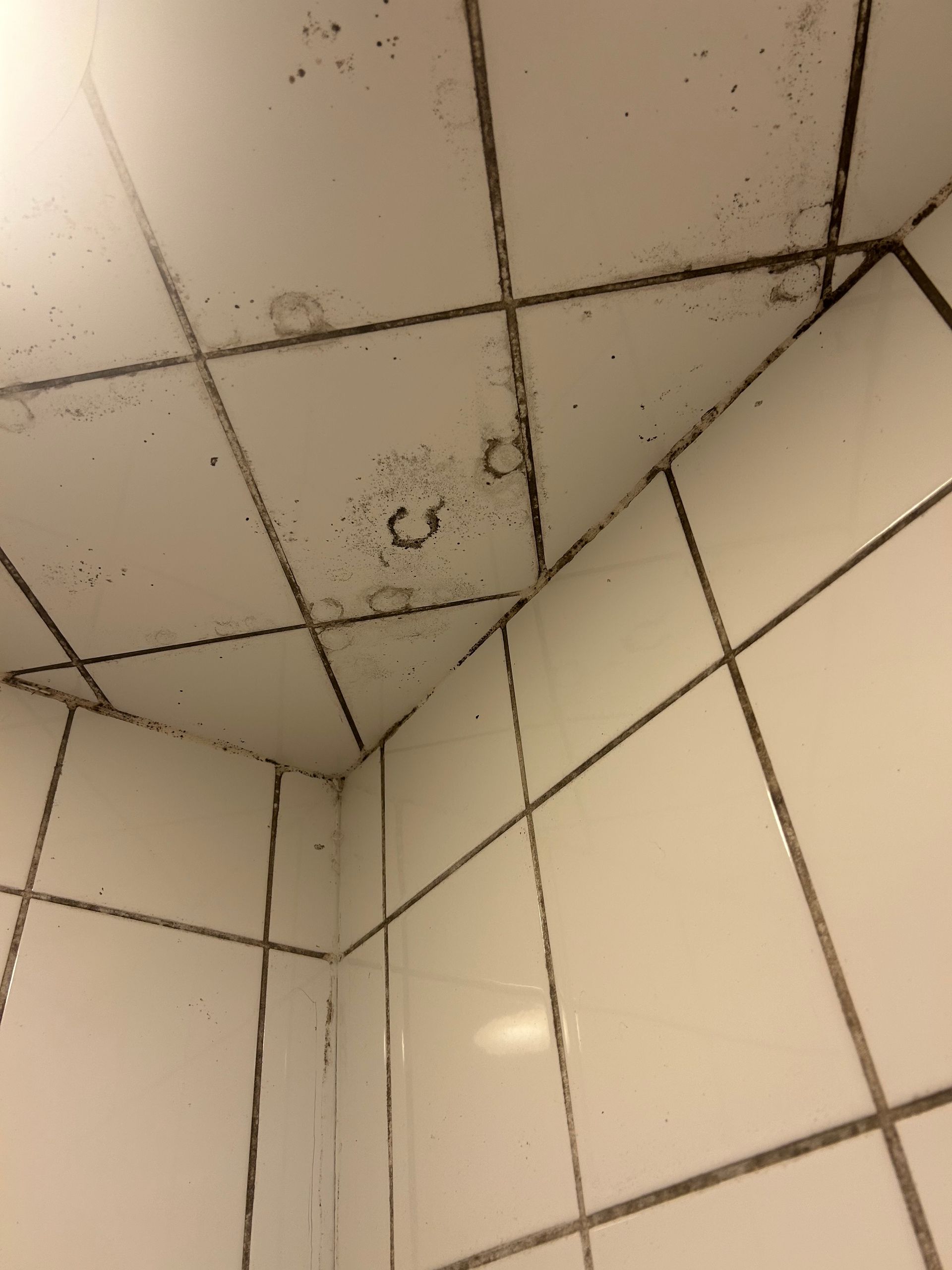 A bathroom with a shower stall and a toilet.