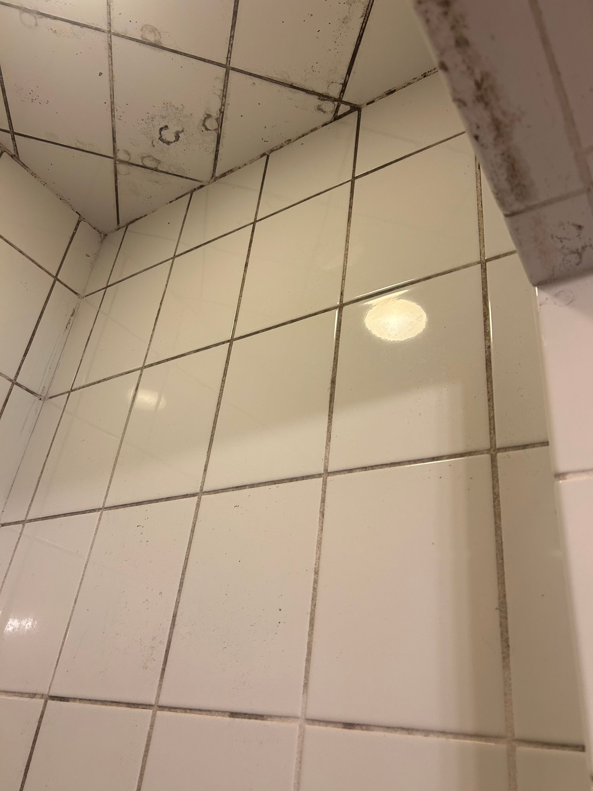 A bathroom with a shower stall and a toilet.