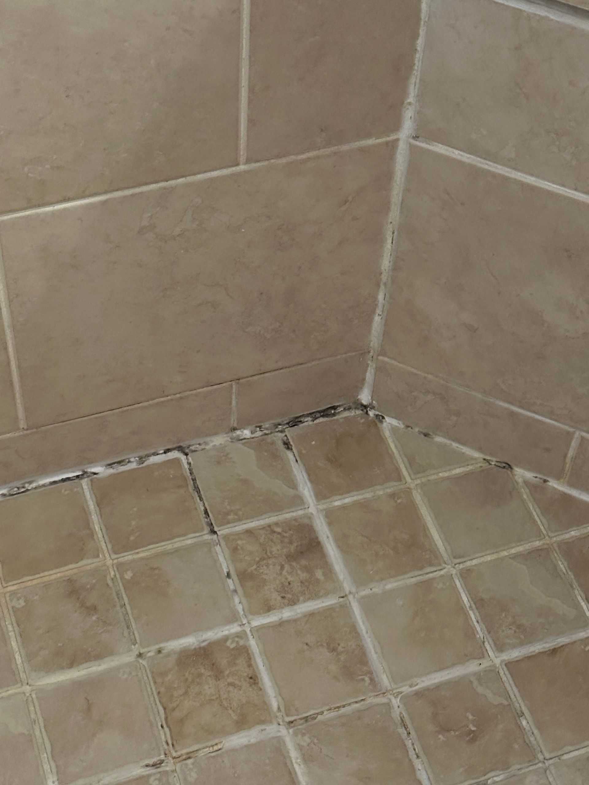 Close-up of a dirty tiled shower corner with moldy grout along the floor seam