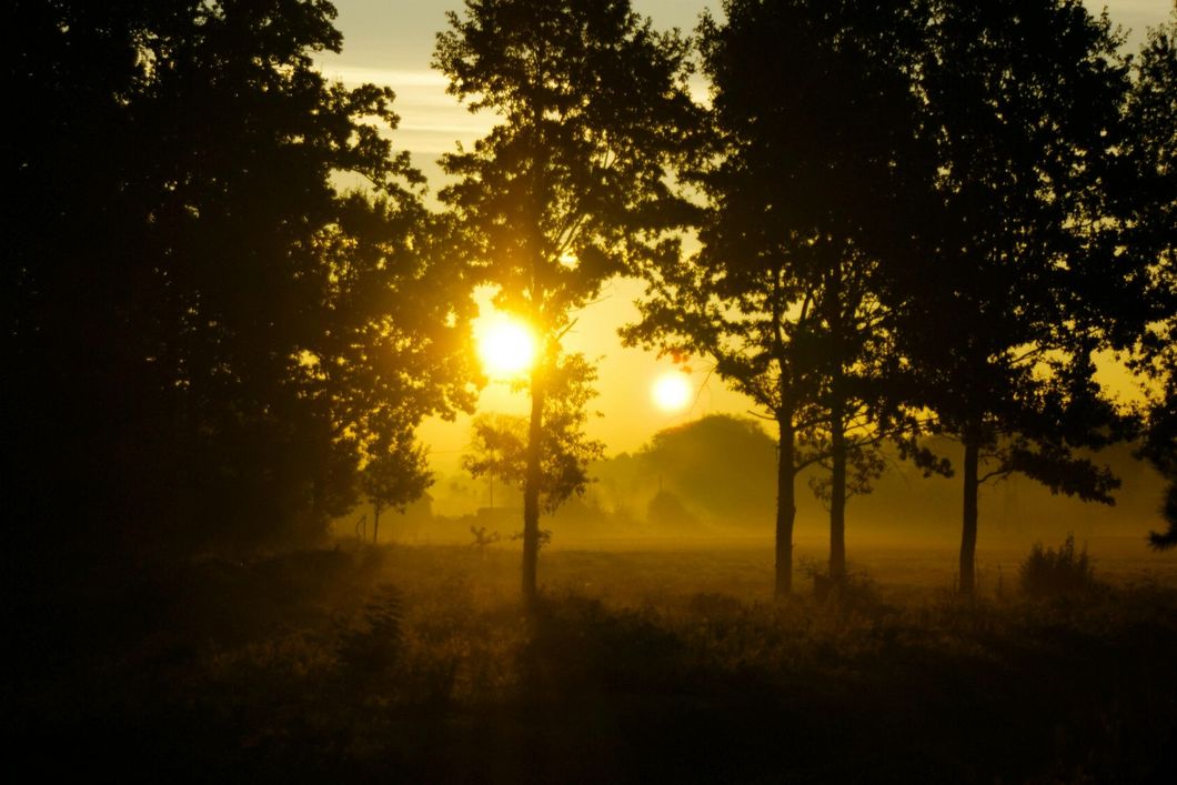 Sunrise in the hills of California where Keenan and Tiffany are from.