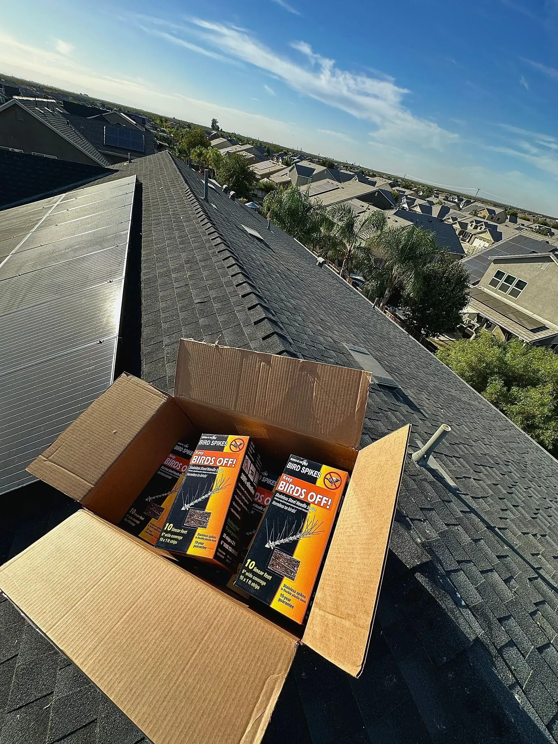 pest control inspection