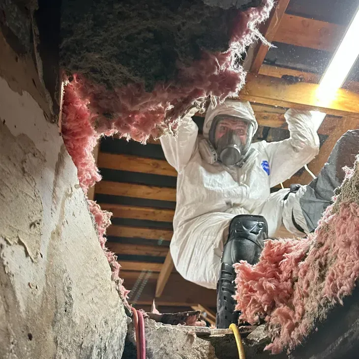 Jozef the Bakersfield Exterminator