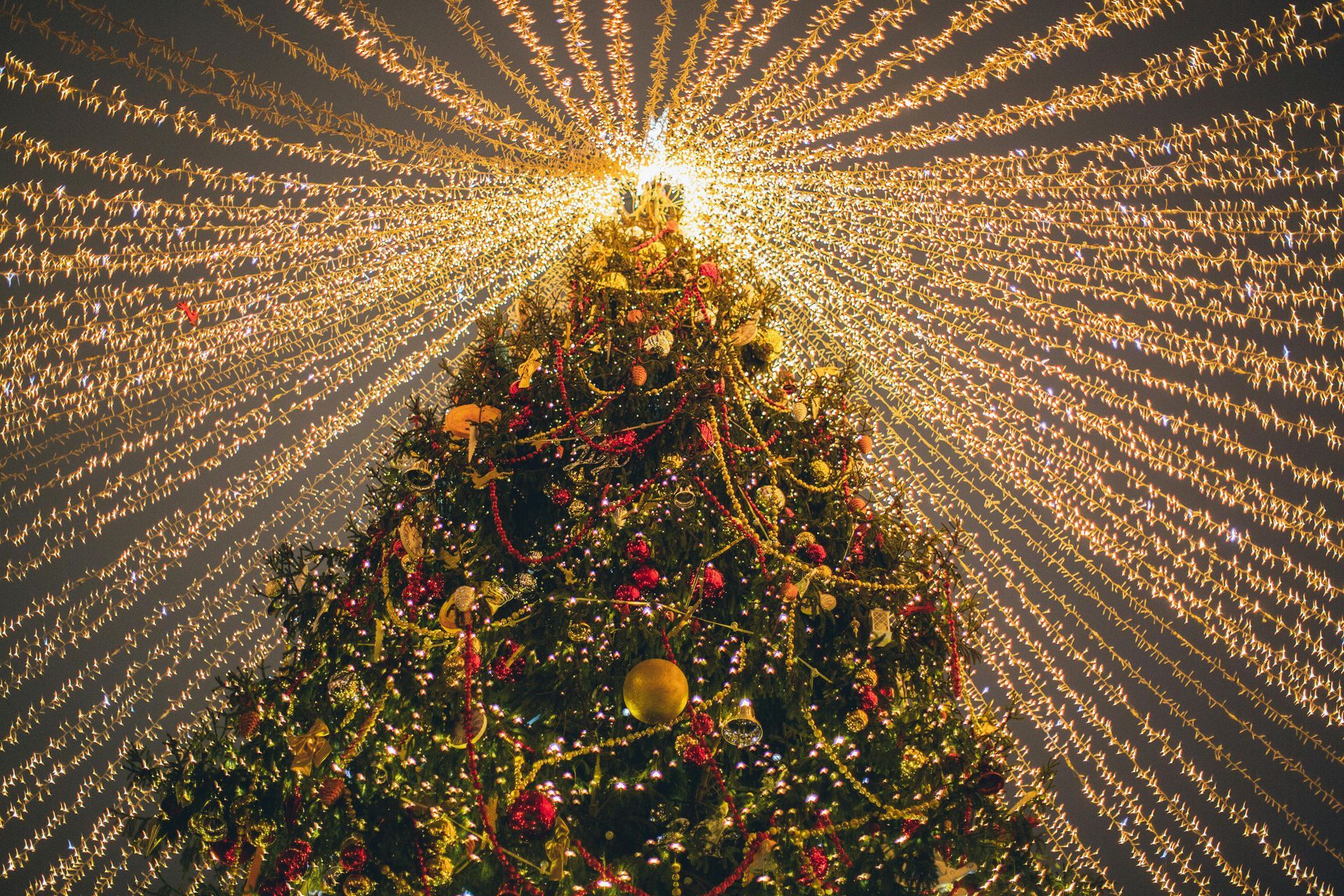 A decorated Christmas tree beneath a canopy of shimmering, radiating golden string lights.