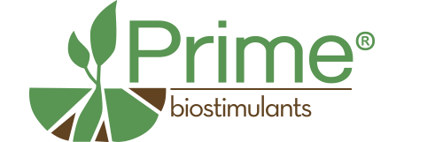 Prime biostimolanti