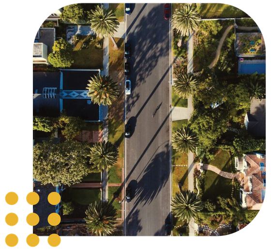 Aerial view of a residential street lined with palm trees and houses, framed by a soft, rounded corner border.