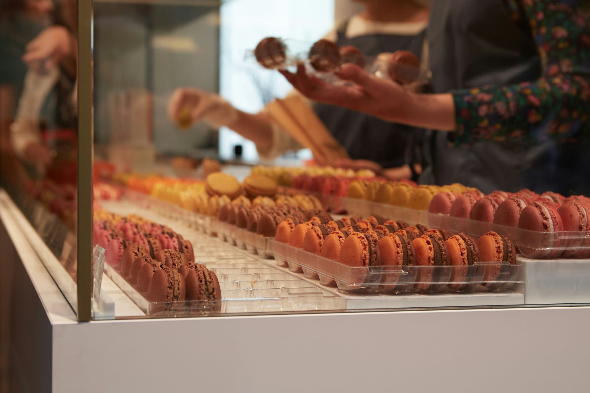 Two people peruse a shop counter full of colourful macarons