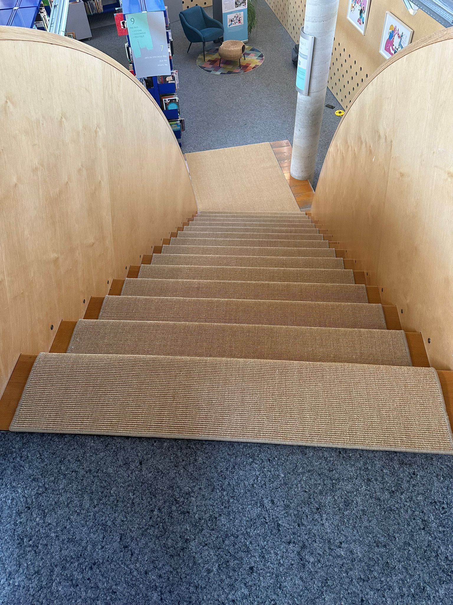 Un escalier menant à une pièce avec un tapis à imprimé zèbre.