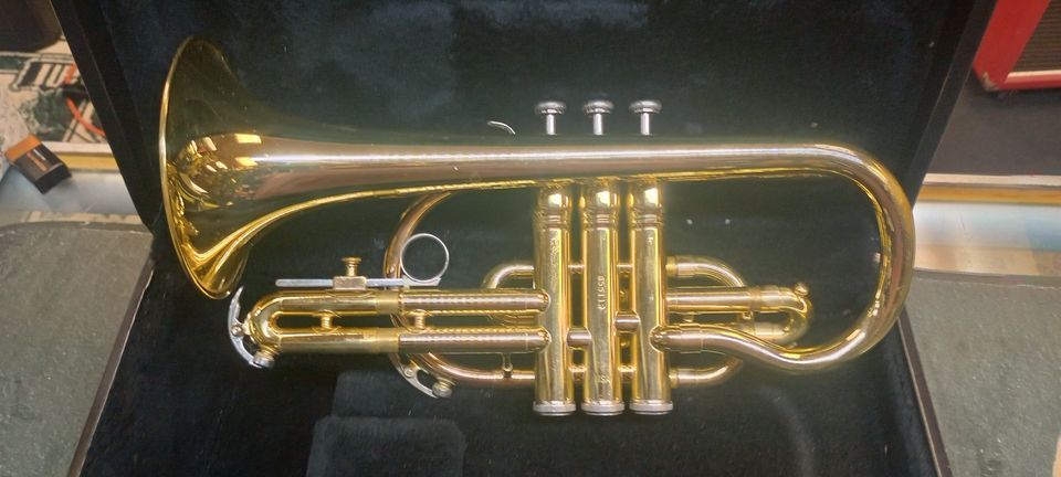 King Cornet