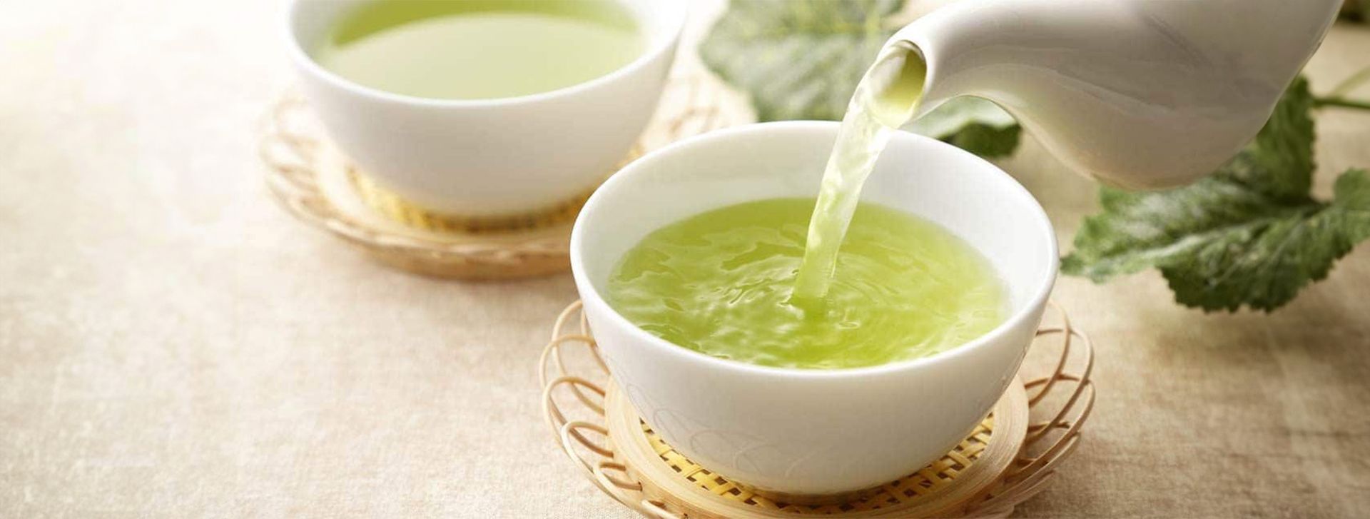 8 Best Foods to Include in Your Weight Loss Diet 