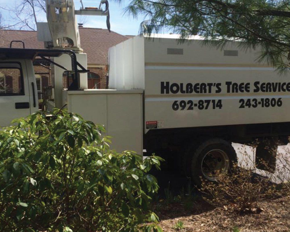 Holbert’s Tree Service Truck — Mills River, N.C. — Holbert’s Tree Service