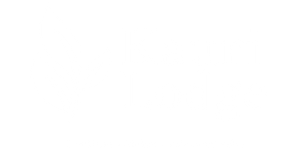A white background with a few lines on it