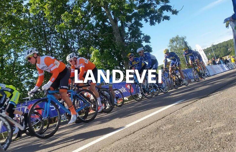 Landevei