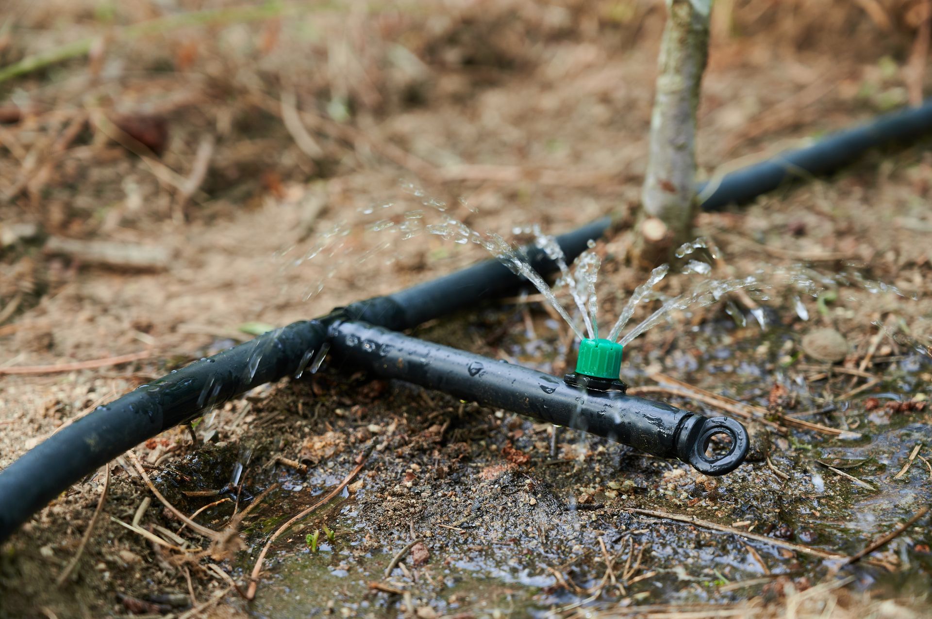 Get residential irrigation systems in Rock Hill, SC with Carolina Mega Concrete LLC