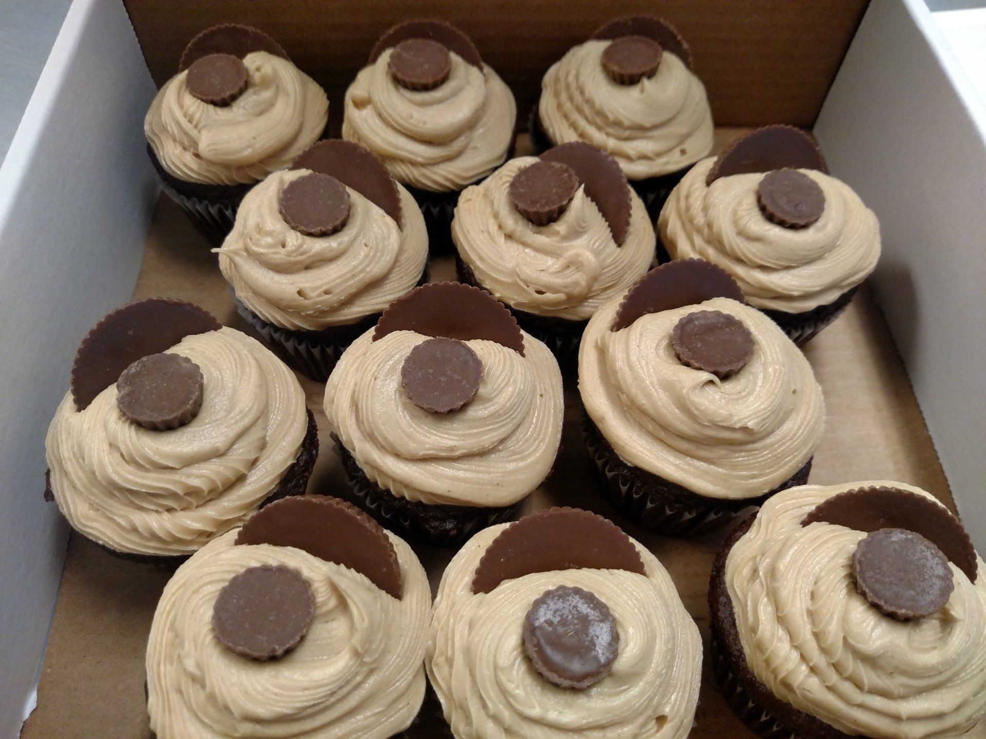 Chocolate Cupcake