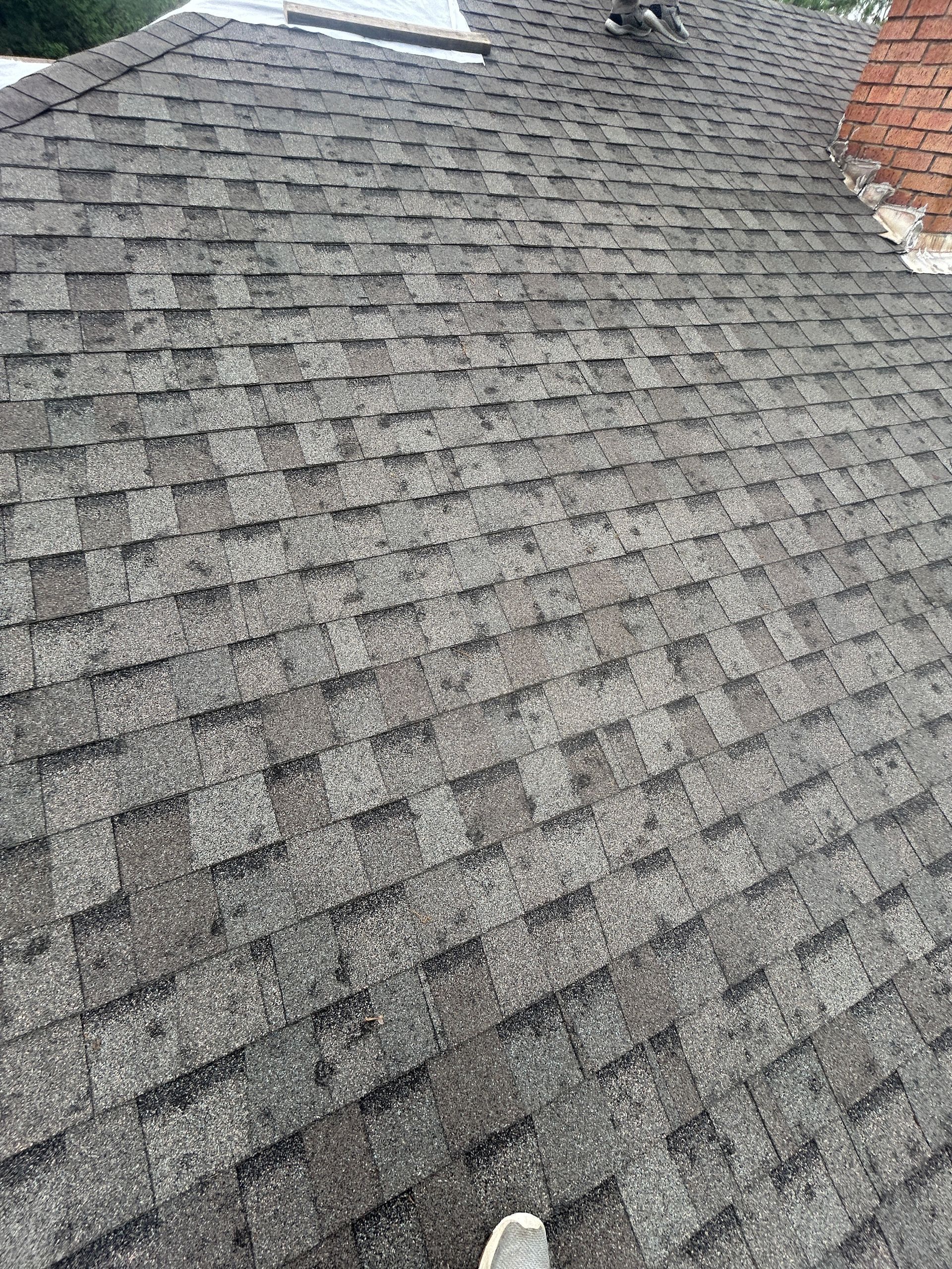 Asphalt roof with hail damage in Brookland, AR.