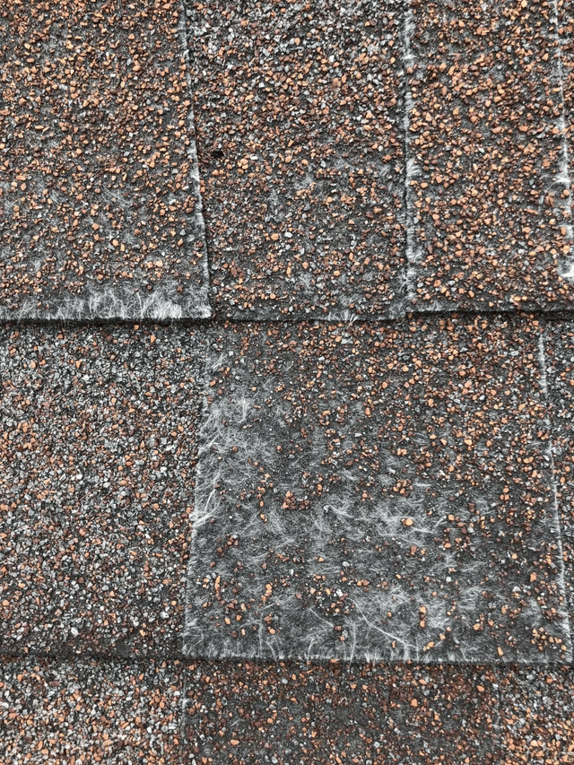 damaged shingle roof in Brookland, AR