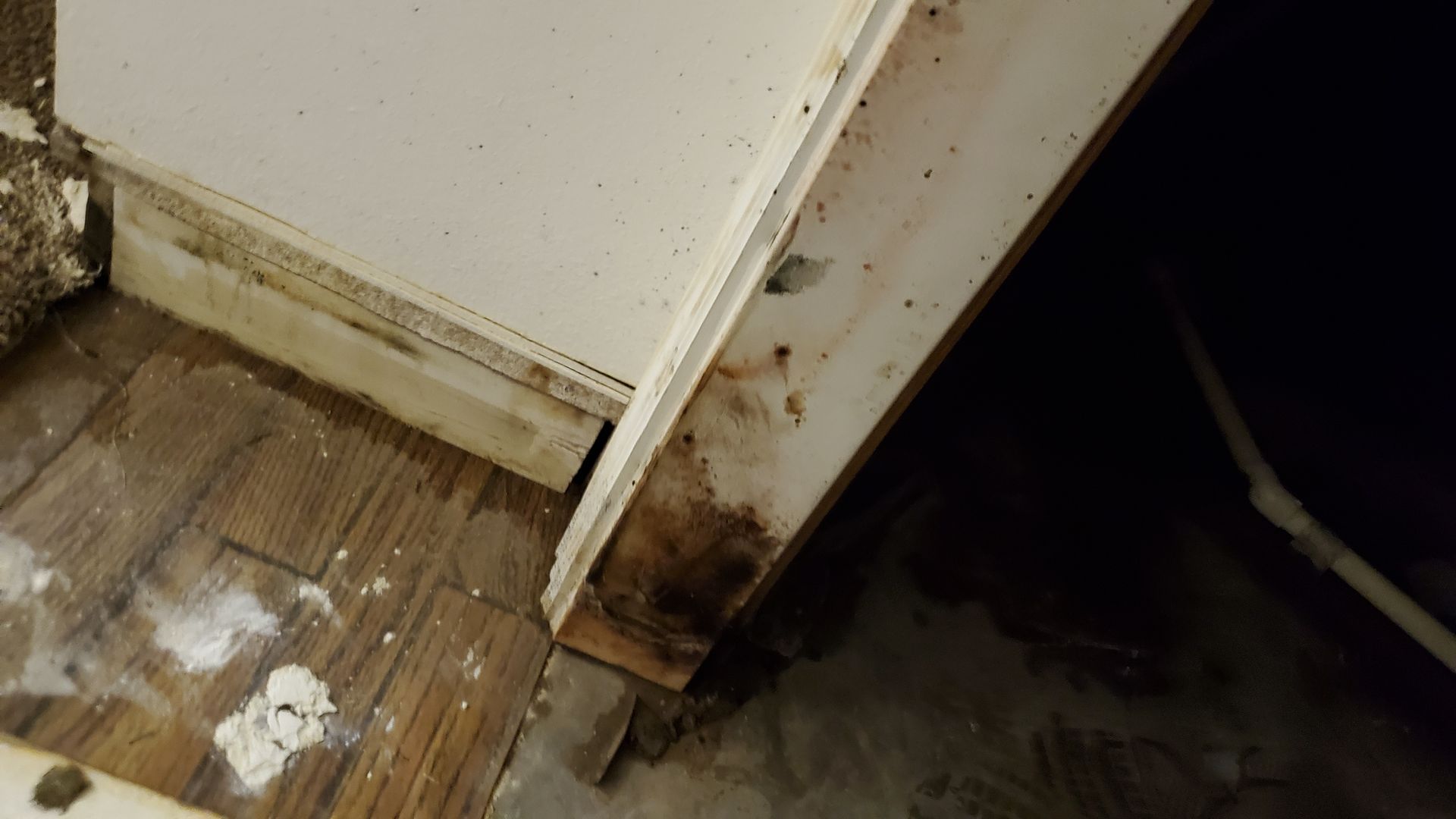 A close up of a door with mold growing on it.