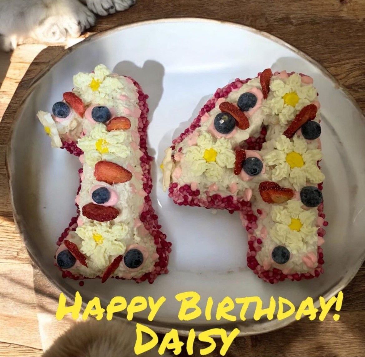 A white plate with a birthday cake in the shape of the number 14