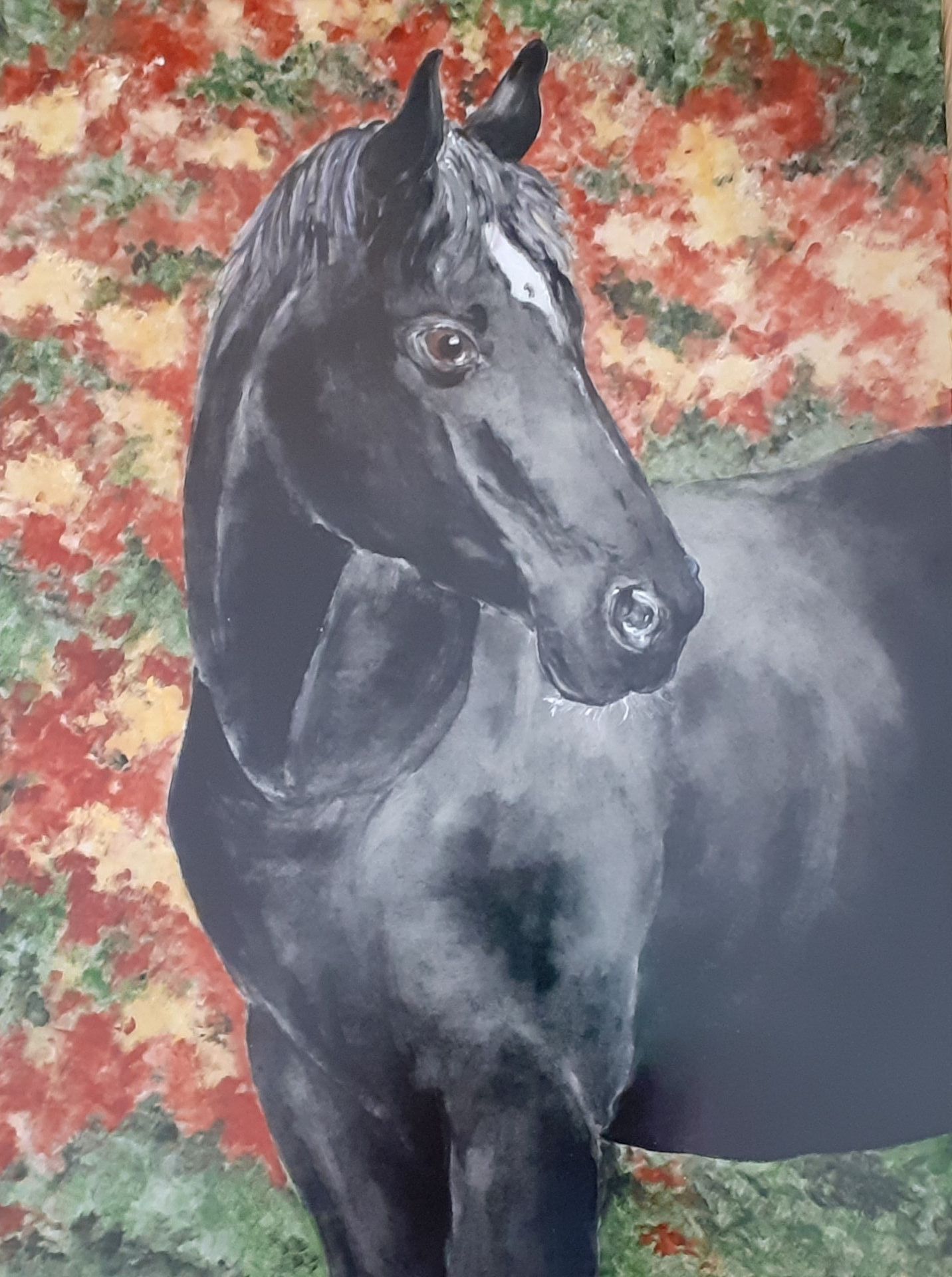 Cavallo nero con una fascia bianca, che guarda verso destra, su uno sfondo di fogliame rosso e verde.