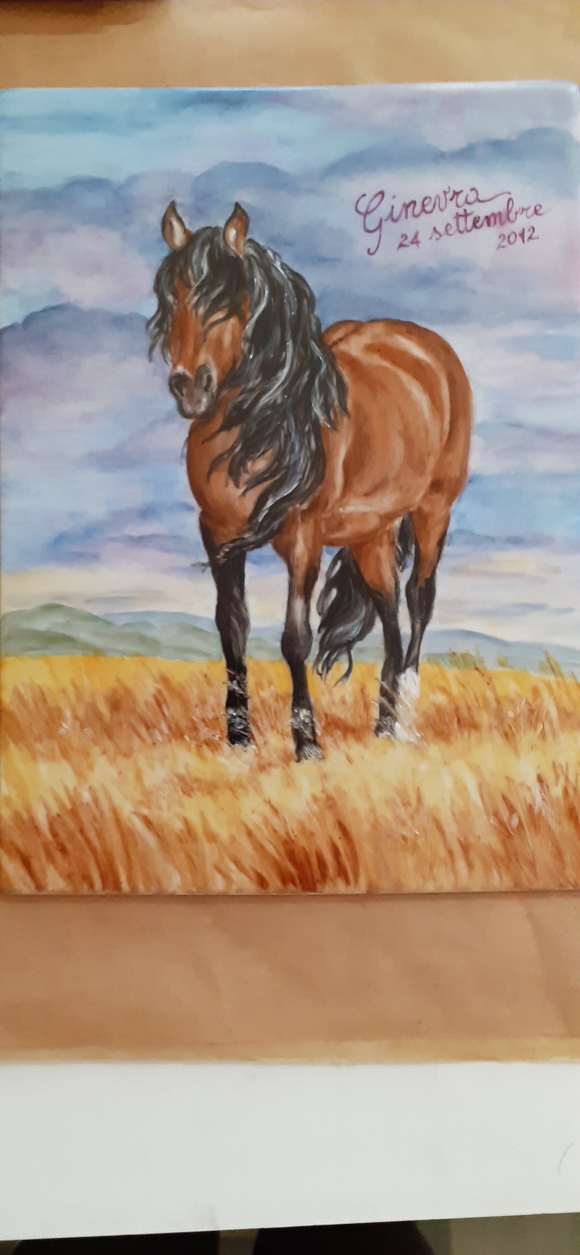 Un cavallo marrone con la criniera nera in un campo con un cielo nuvoloso.