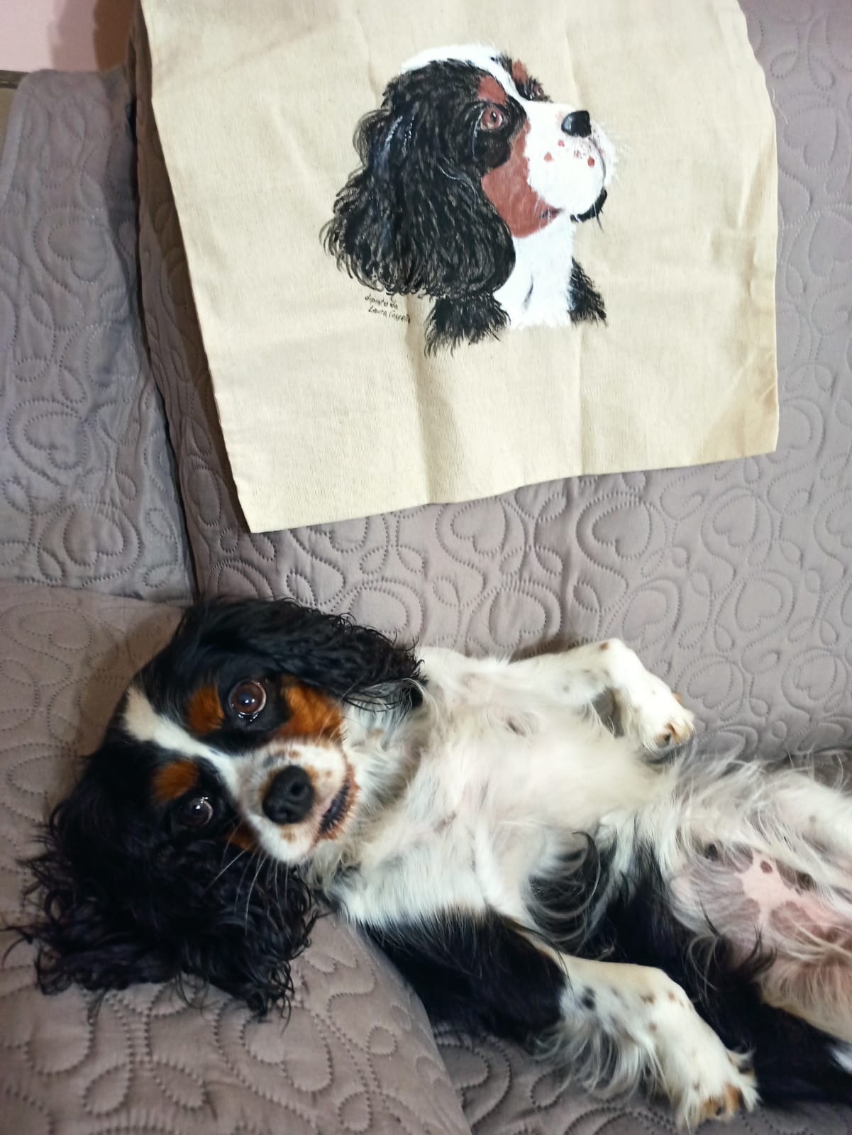 Cane sdraiato sulla schiena su un divano grigio, sotto un cuscino con il ritratto dipinto di un cane simile.