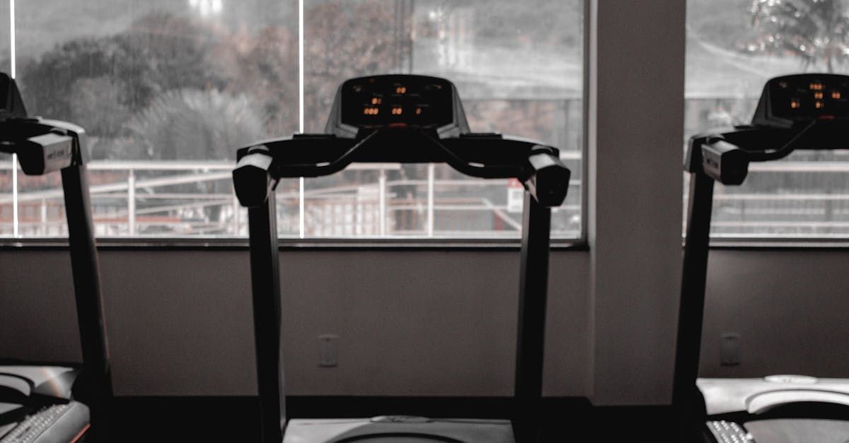A row of treadmills in a gym next to a window.