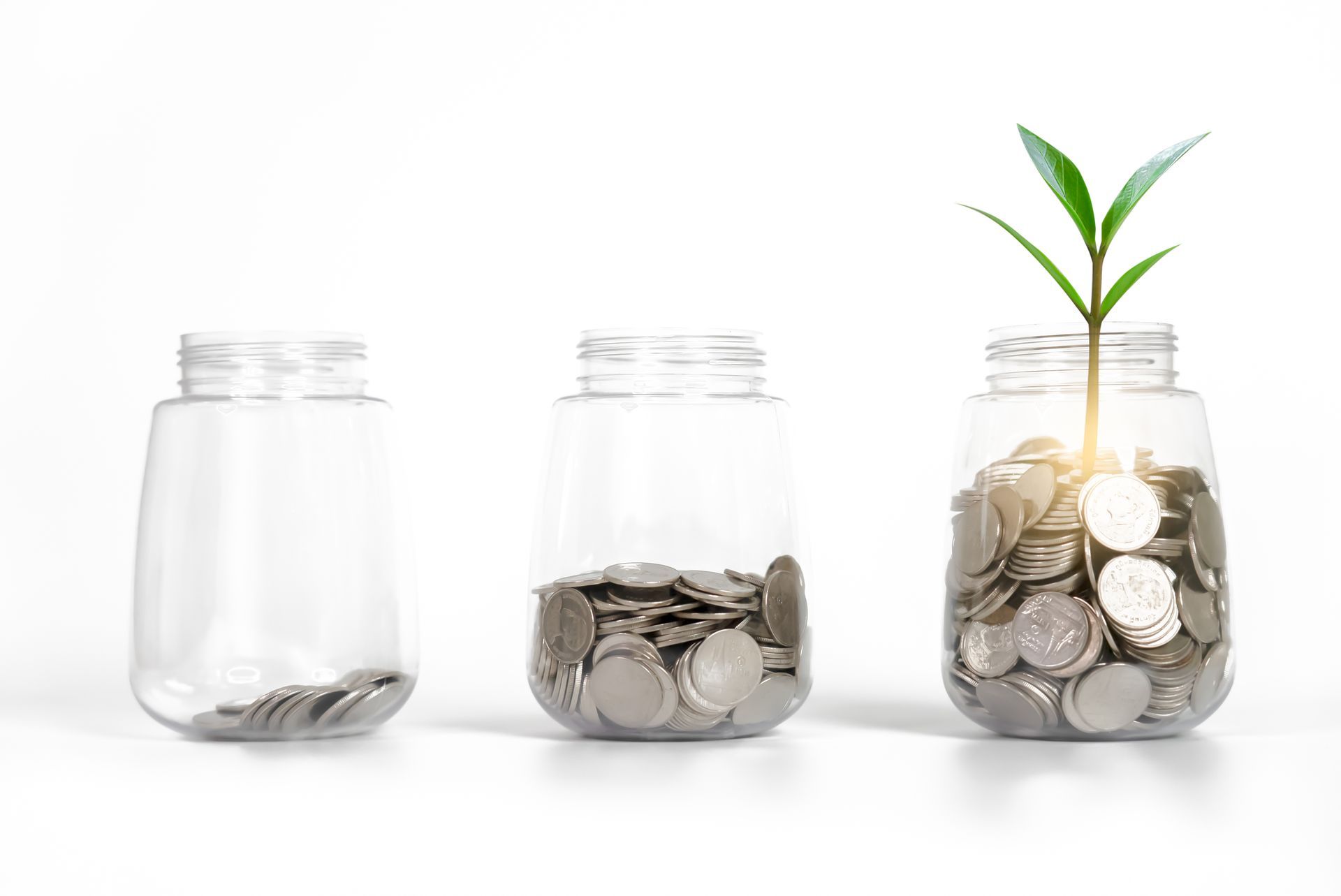 A plant is growing out of a jar of coins.