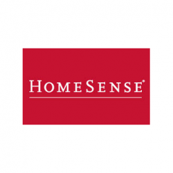 Home Sense Cargo Van Delivery
