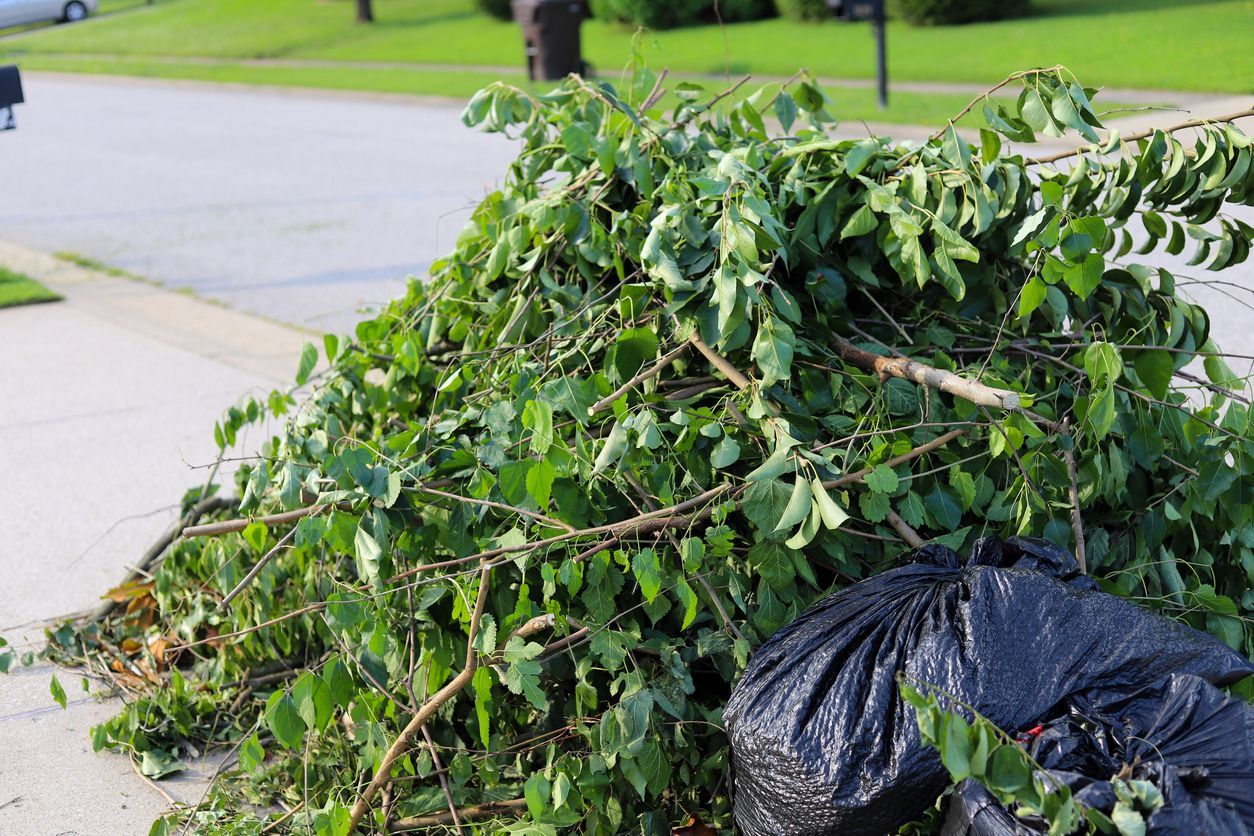 Piled tree branches and leaves beside a black trash bag on a suburban sidewalk