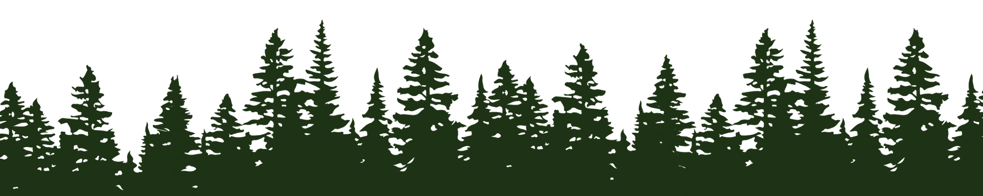 Silhouetted evergreen trees against a white background