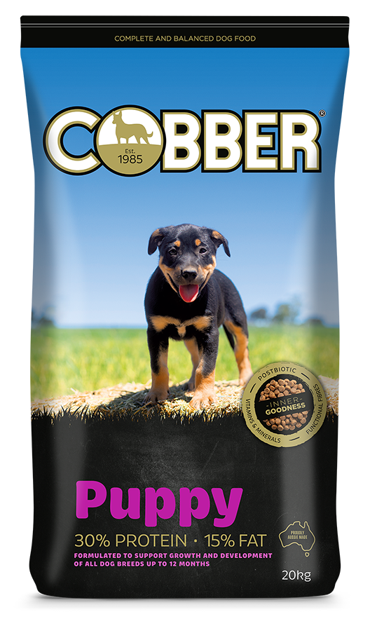 Cobber Puppy - Edmonds Landscaping Supplies in Bohle Plains, QLD