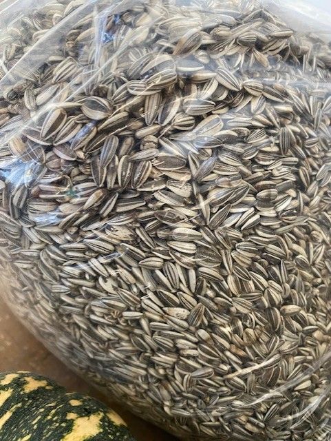 A Bag Of Sunflower Seeds Is Sitting On A Table Next To A Pumpkin — Edmonds Landscaping Supplies in Bohle Plains, QLD