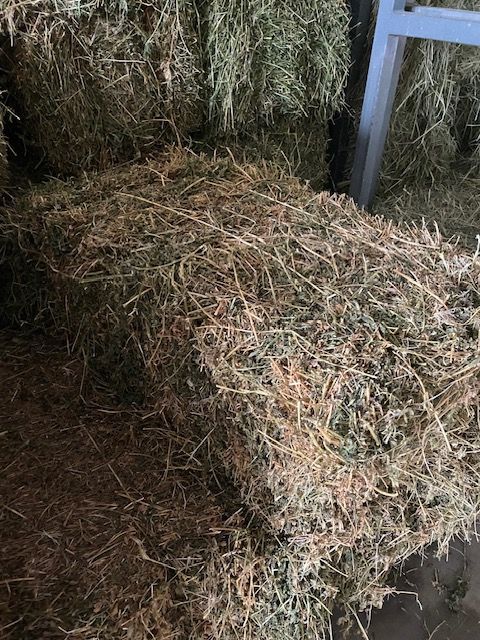 There Are Many Bales of Hay Stacked on Top of Each Other — Edmonds Landscaping Supplies in Bohle Plains, QLD