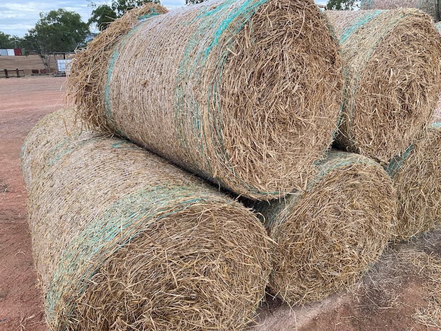 Bagasse— Edmonds Landscaping Supplies in Bohle Plains, QLD