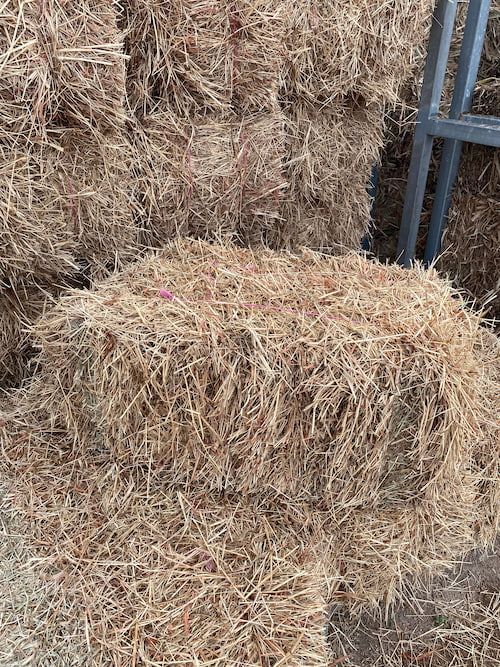 Forest mulch — Edmonds Landscaping Supplies in Bohle Plains, QLD