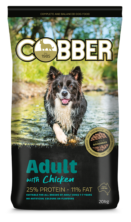 Cobber Active Dog - Edmonds Landscaping Supplies in Bohle Plains, QLD