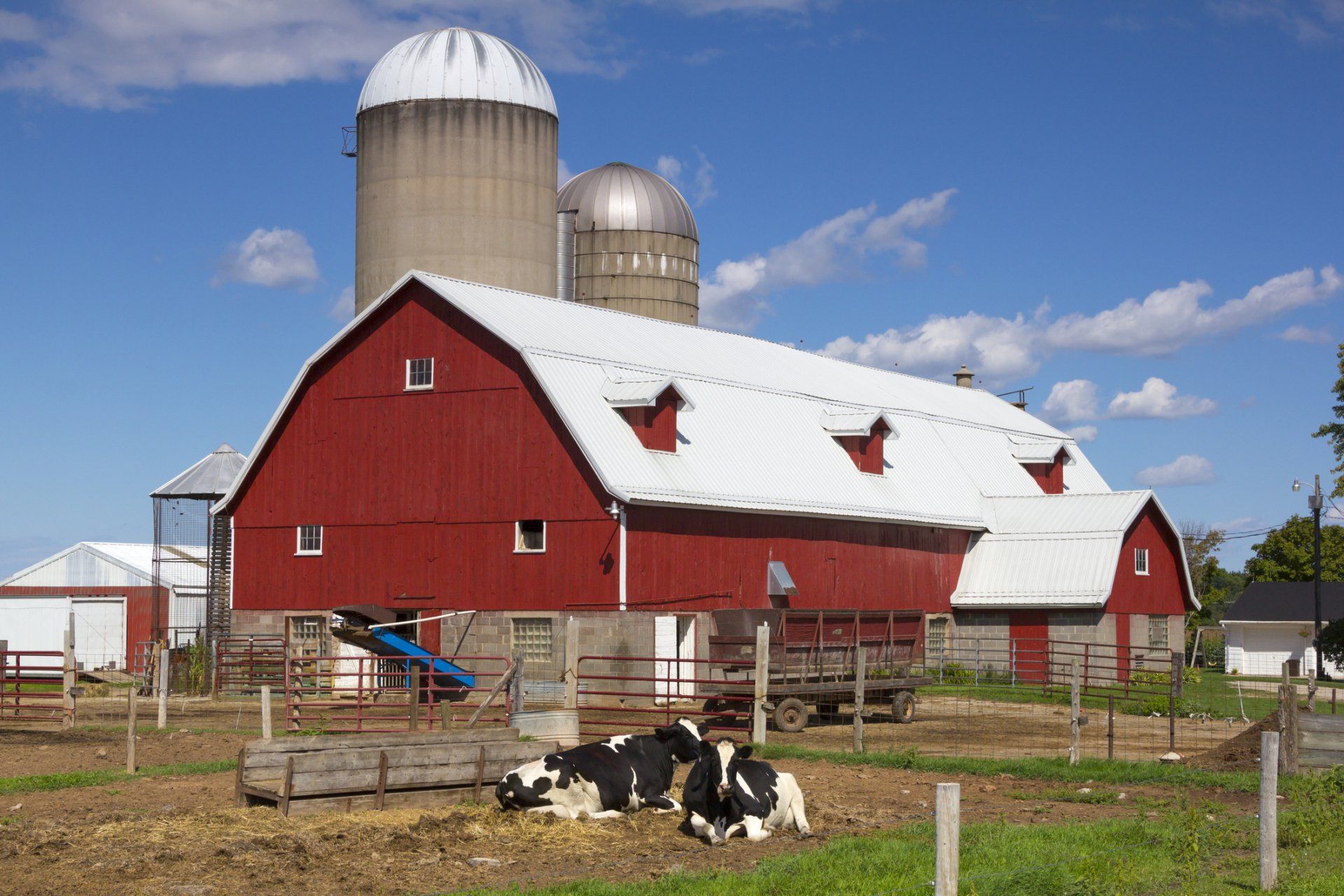 Red Barn With Cows — Waterloo, IA — Kvale Insurance