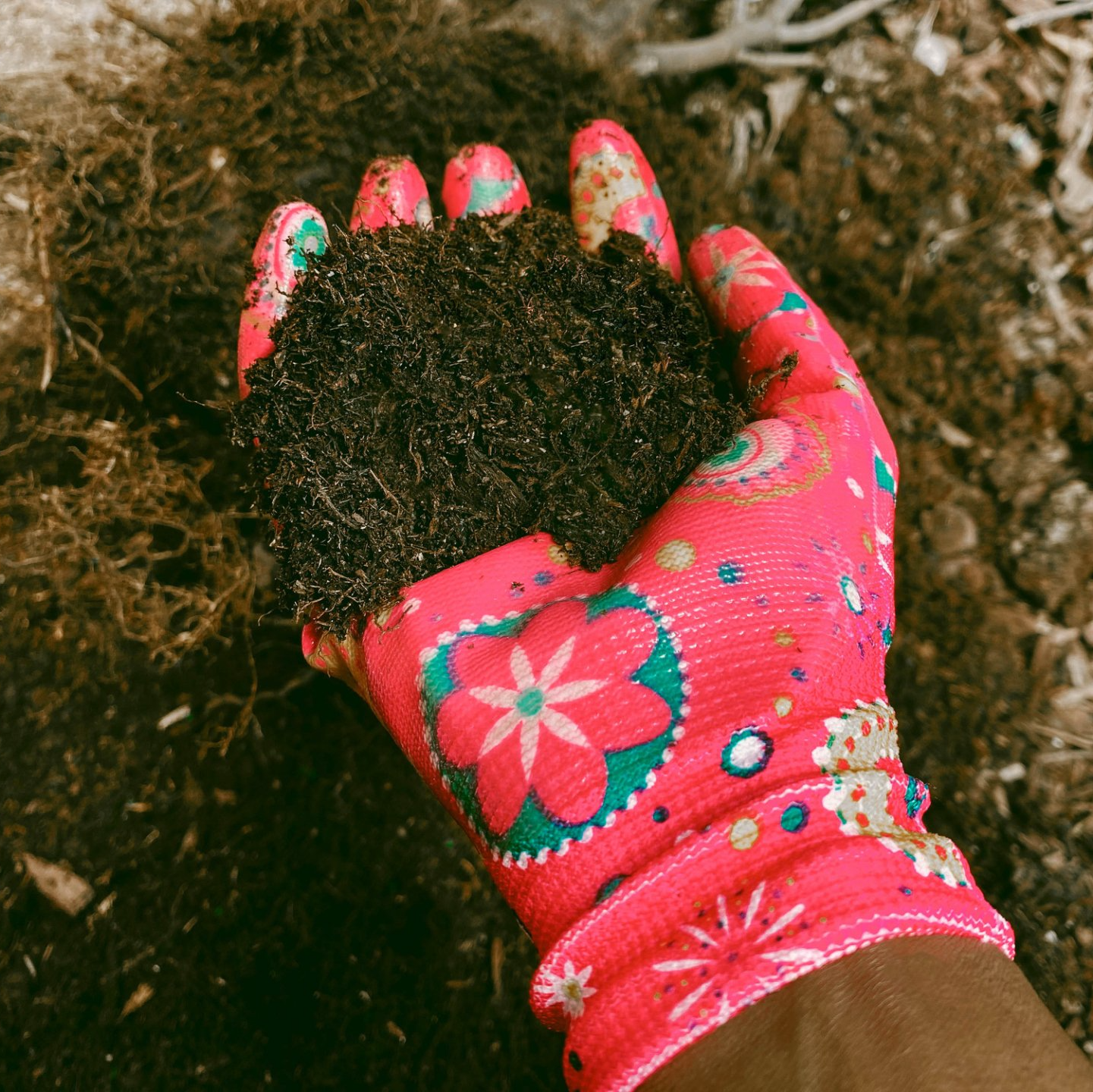Compost in hands — Melbourne, FL — Simply Organic Lawn and Garden Center Compost in hands — Melbourne, FL — Simply Organic Lawn and Garden Center
