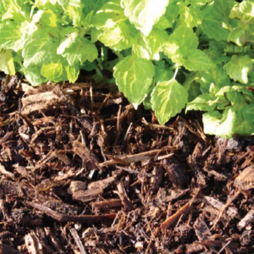 Hardwood natural mulch — Melbourne, FL — Simply Organic Lawn and Garden Center Hardwood natural mulch — Melbourne, FL — Simply Organic Lawn and Garden Center