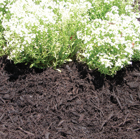 Midnight black mulch — Melbourne, FL — Simply Organic Lawn and Garden Center Midnight black mulch — Melbourne, FL — Simply Organic Lawn and Garden Center