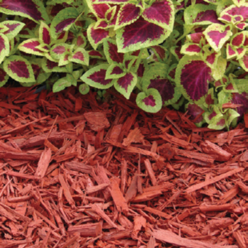 Premium red mulch — Melbourne, FL — Simply Organic Lawn and Garden Center Premium red mulch — Melbourne, FL — Simply Organic Lawn and Garden Center