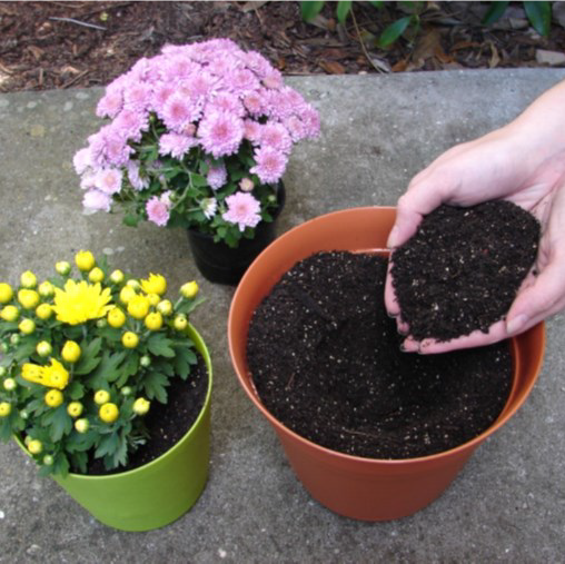 Hardwood natural mulch — Melbourne, FL — Simply Organic Lawn and Garden Center Hardwood natural mulch — Melbourne, FL — Simply Organic Lawn and Garden Center