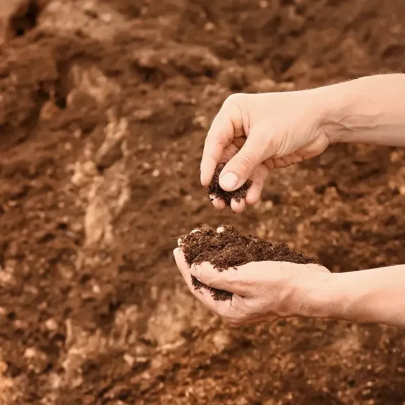 Soil Testing and Soil Bearing Capacity