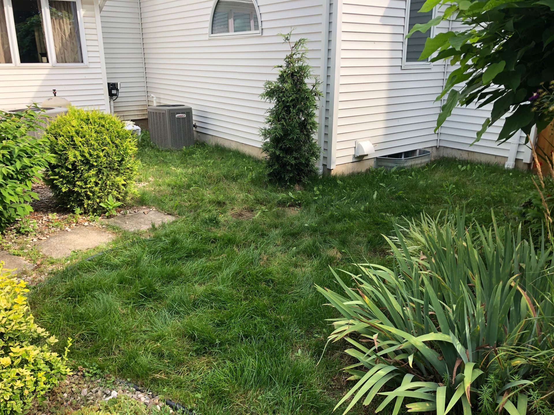 A patch of grass beside a white-sided house with a small evergreen tree, a green bush, and an air conditioning unit.