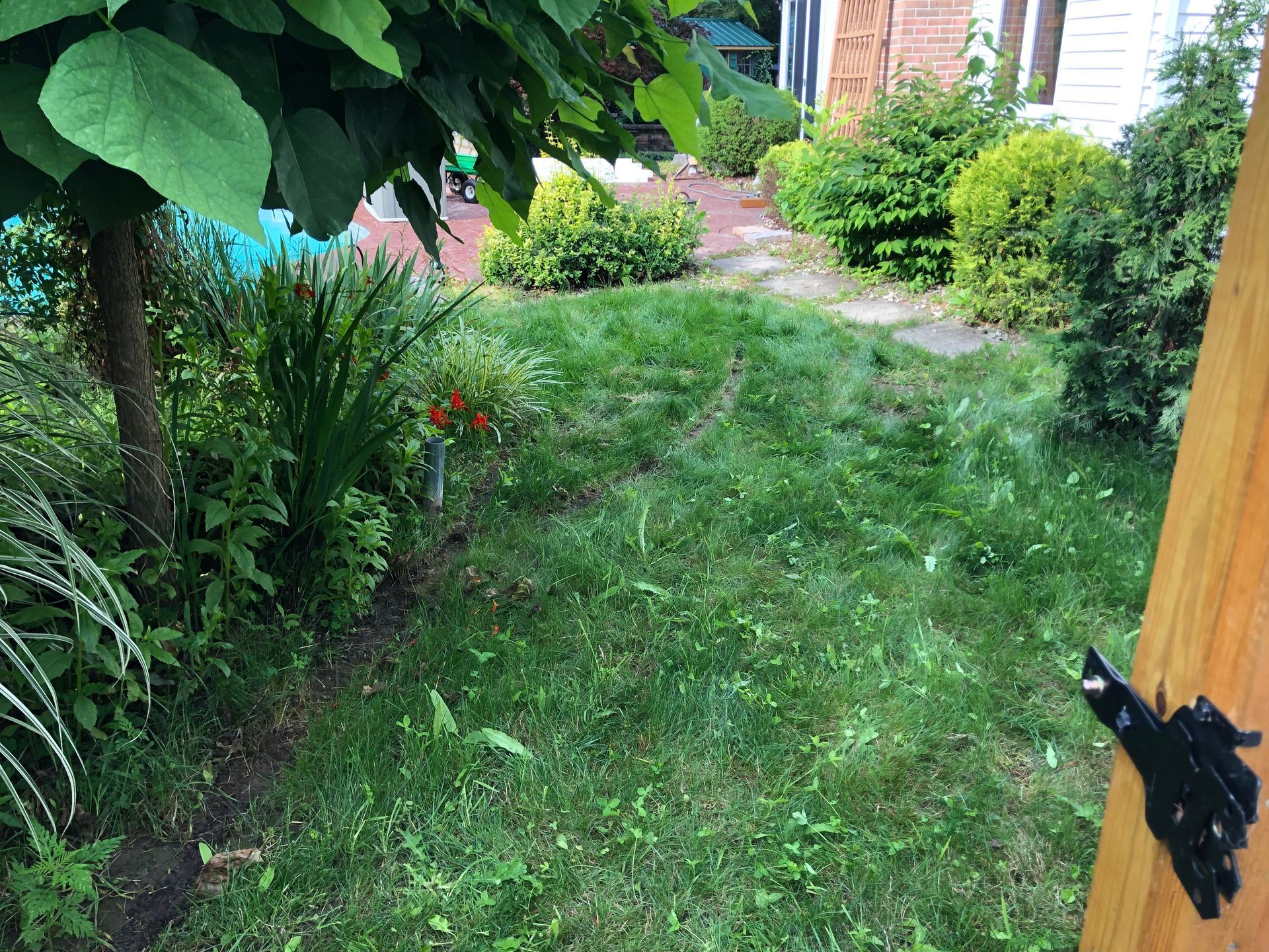 A view of a grassy yard with trees, shrubs, and a paved walkway leading toward a house.