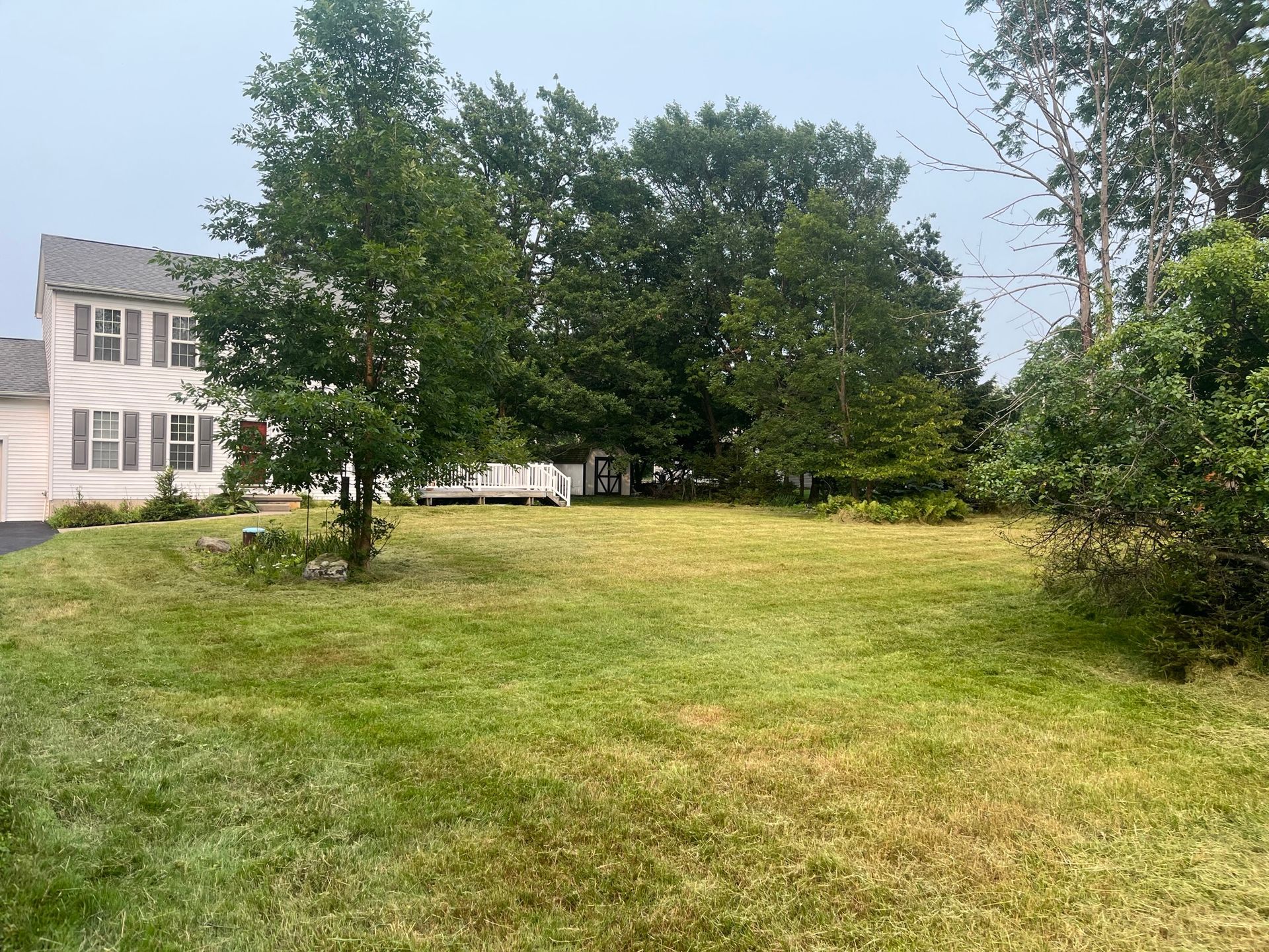 A light-colored two-story house stands behind a large, grassy lawn surrounded by trees under a pale, overcast sky.