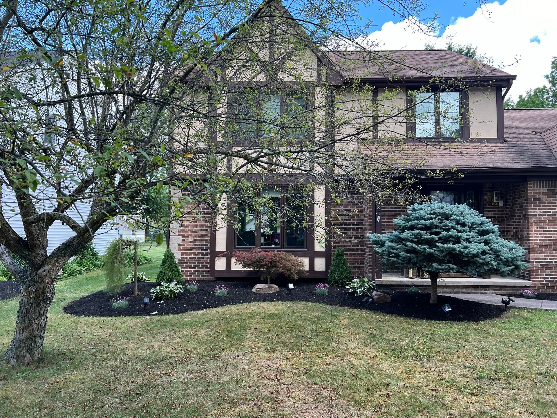 A two-story Tudor-style home with brick and timber-framed siding, framed by a tree and landscaped with dark mulch.
